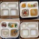 [내돈내산] Tackaon 탁가온 키즈 4구 식판 사용 후기 | 유아식 아기 반찬 식판 추천, 매일 쓰는 아기 식판