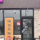 열린 | 포천 애견카페 추천｜대형견도 가능한 넓은 운동장 카페 열린 솔직 후기