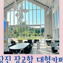 장고목 이미지