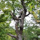 강릉영주횟집 이미지