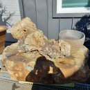 경남양봉원 이미지