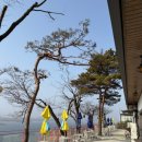 주식회사 힘낙지쭈꾸미 | 경기도 남양주 팔당 미쉐린 맛집 | 힘센낙지 황제칼국수 팔당본점 방문 솔직 후기 (사골칼국수&amp;쭈꾸미볶음)