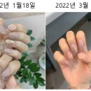 다해네일 이미지