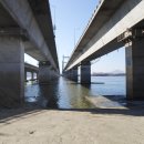 호수공원11로 이미지