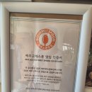 셰프앤고메 | 💙 서귀포 미식여행 제주 고메스푼 맛집 ‘제주 자연스러운 식당’ 🌿 시그니처 3인 코스 후기