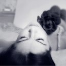 작은놈PC방 이미지