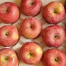 정아네식품 이미지