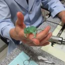 덕천동물의료센터 이미지