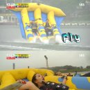 타고플라이 이미지