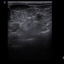 하슬라동물병원 이미지