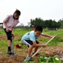 방은농장 이미지