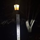 양양리버펜션 | 애견 동반 양양 필수 코스 집사들의 수다 내돈내산 솔직후기