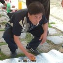 금화 이미지
