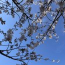 지사스포츠파크 이미지