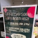 파인데이즈 이미지