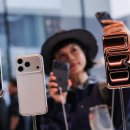 아이폰17 OLED 패널, 韓 디스플레이 점유율 ‘98%’ 압승… 中 BOE 품질 문제로 고전 이미지