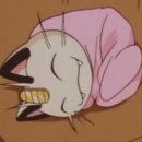 (주)함경도찹쌀순대 이미지