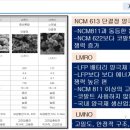 디와이피엔에프 이미지
