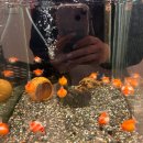 (주)넷코디 | 새해의 시작은 3월부터 맞지?