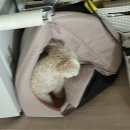 두리세탁소 | 11월 하반기