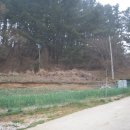 양지-2792 이미지