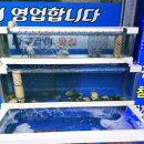 마구잡이횟집