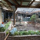 소문난염소탕 이미지