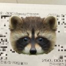 라온휴한방병원 | 아산 레메디한방병원 면역주사(싸이모신알파1/휴닥신) 내돈내산 맞은 후기