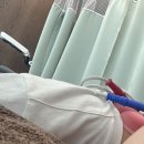 이디야상북점 | 여름 휴가 완벽하게 즐겨보기 w.몽골몽골