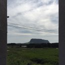 오조리bnb | 제주도 숙소_오조리 bnb