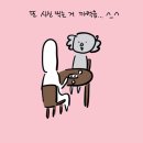 오늘은코알라 이미지