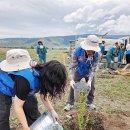 소통하는 나무 이미지