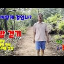 .맨발 걷기 한달 높았던 안압 정상, 콜레스테롤 정상, 공복 혈당 정상으로 돌아왔어요 이미지