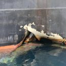 중동2로 12 이미지