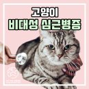 마음든 동물병원 이미지