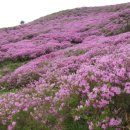 양재역 11번출구 옆 이미지