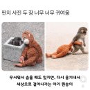 이티앤짐 | 잘 먹고 잘 지냈던 2월을 보내주기