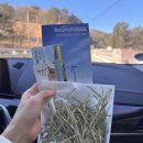 삼양정육점 | 평창여행 | 5살 아이와 함께한 겨울에 떠난 평창 여행(삼양라운드힐, 평창한우마을 대관령점)