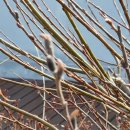 청계천길 이미지