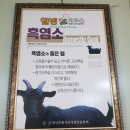 동탄행복건강원