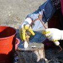 문항어촌체험휴양마을 이미지