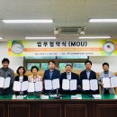 전국빨래자랑 이미지