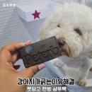 강아지 긁는이유 펫당고 한방 샴푸팩으로 해결한 후기