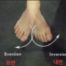 머슬제이 이미지