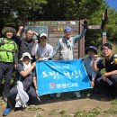 성용목장 네이버블로그
