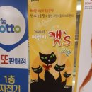 가족뮤지컬 어린이캣츠 | 신도림 프라임아트홀 가족뮤지컬<어린이캣츠 2탄>후기입니다~^^
