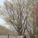 아루스 | [안산,화성 애견 카페] 아루스 | 5키로 이하 소형견에게 최고!