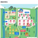 나무새 관광농원 | [강원도 캠핑장]두미리관광농원 명당(feat.사이트 안내)