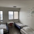 비타민민박 이미지