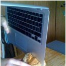 999달러 짜리 빵써는......... 이미지